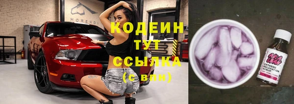 крисы Покачи