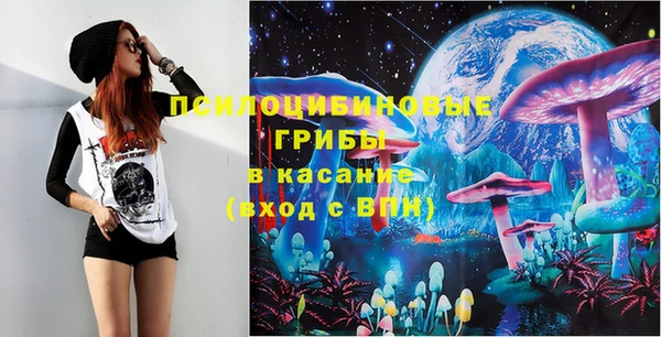 крисы Покачи