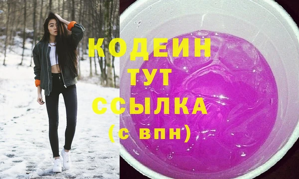крисы Покачи