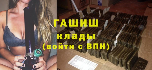 крисы Покачи