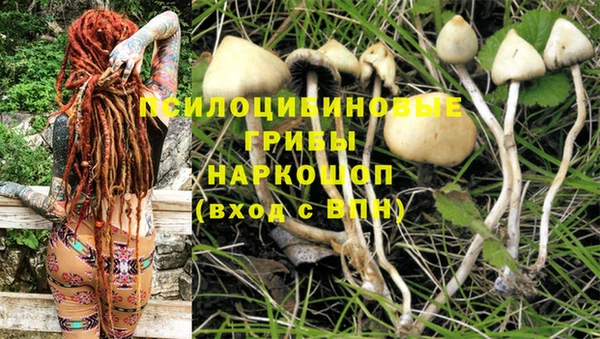 дистиллят марихуана Грязовец